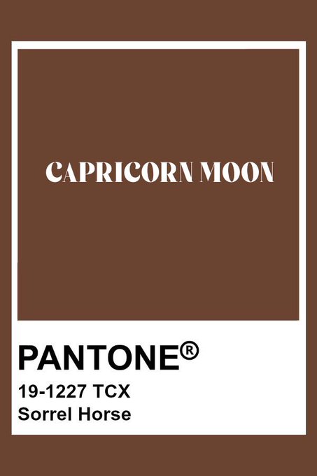 mswarning tweet media