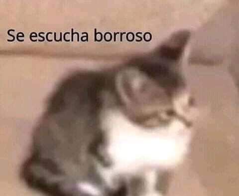 Cuando la profesora me pregunta algo en clase.