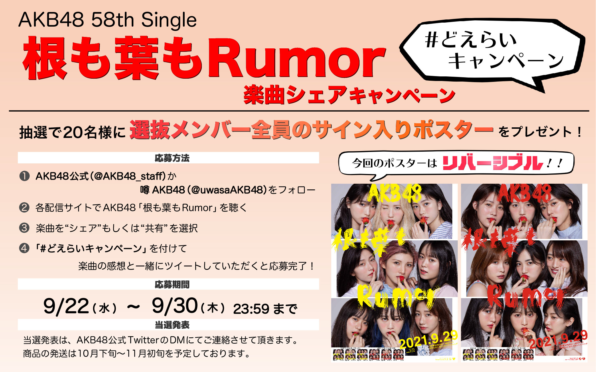 なんてったって AKB48 リード曲 選抜メンバー 直筆 サイン 入りポスター AKB48／10th ALBUM「なんてったってAKB48」