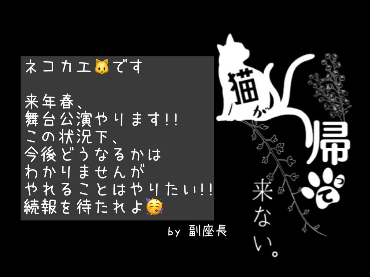 制作群 猫が帰ってこない Nekokae Info Twitter