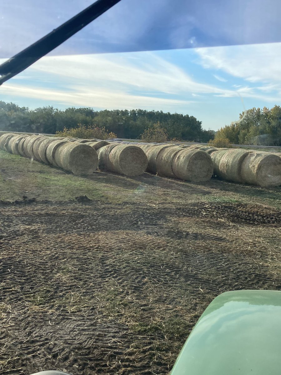 4FAngusBoy's tweet photo. Thanks to @grholtby @Meemaw_Tami and twitterless Brennan for thinking of others, baling straw and #findingfiber https://t.co/RMGQkStNS0