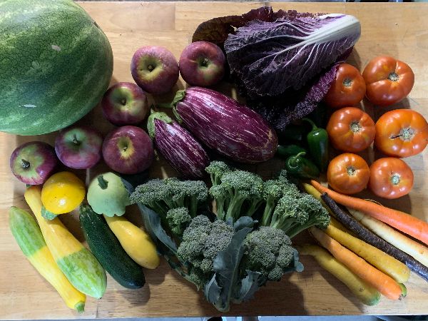 Under the Sun Farm tweet media