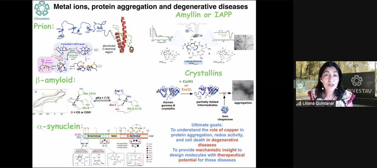 We start our webinar series. Our first speaker is Liliana Quintanar <a href="/lilquintanar/">Liliana Quintanar</a> from <a href="/cinvestav/">Cinvestav</a>. If you want to learn about metal ions, protein aggregation and degenerative diseases, join our YouTube channel

youtube.com/watch?v=ChlHy6…