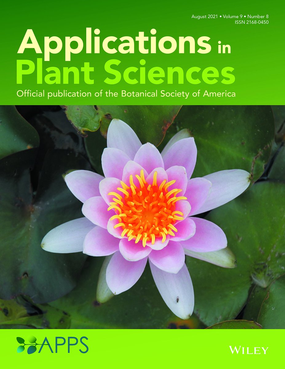 The BSA needs someone with vision &amp; dedication to lead our young &amp; growing plant methods journal! Apply or nominate someone to be the next Editor-in-Chief of #AppsPlantSci today. Application deadline: 12 Nov 2021 botany.org/file.php?file=… @wileyecolevol #iamabotanist #OpenAccess