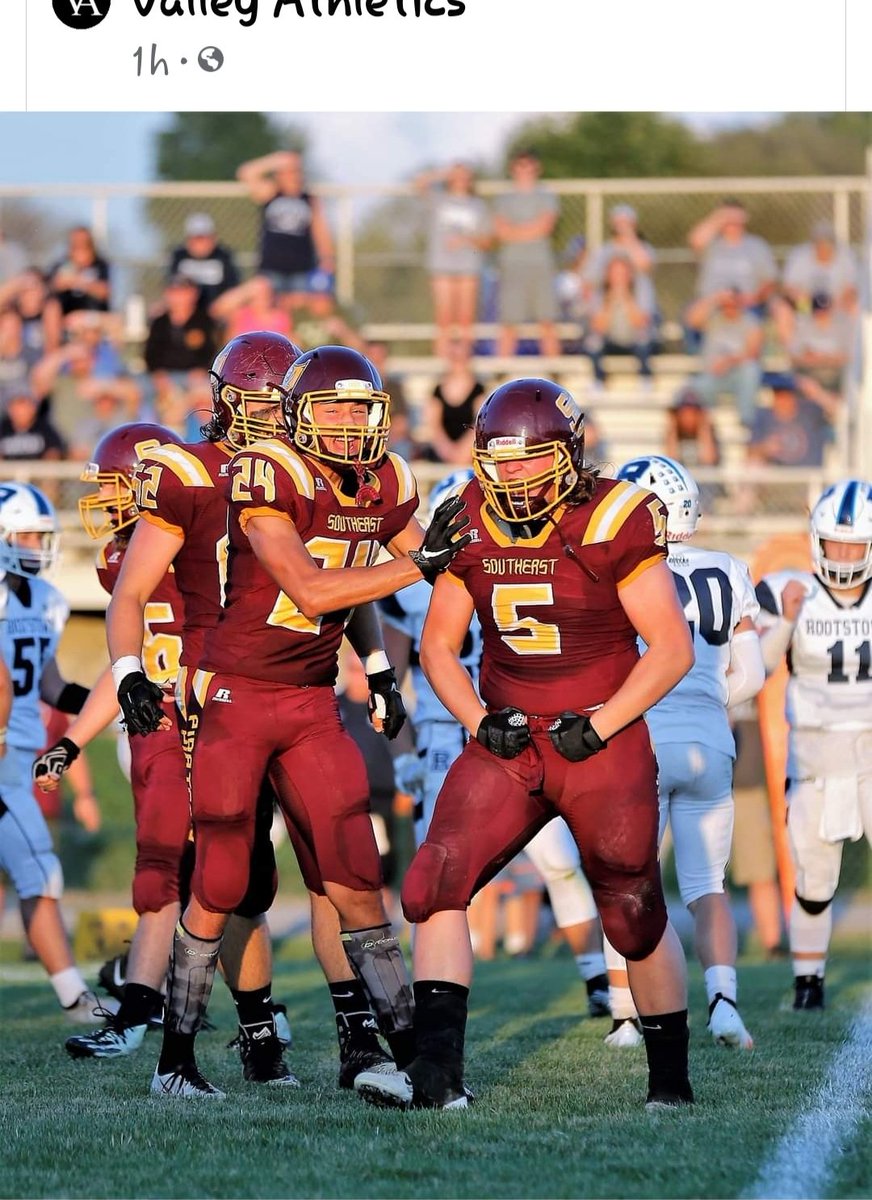 Tammi Mesaros tweet media