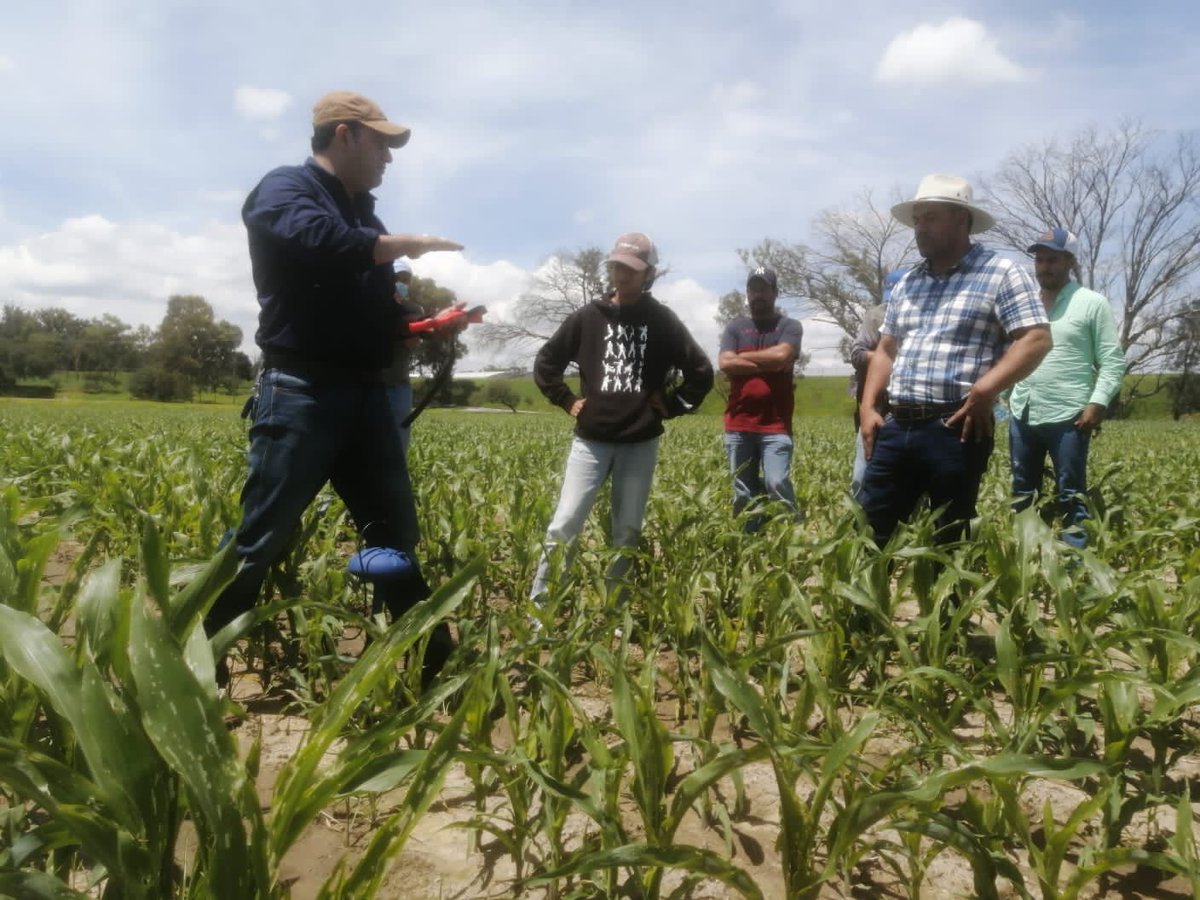 International activity: Armando's busy with CropX training for a group from Agricola San Juan in San Juan de los Lagos, Jalisco, Mexico!