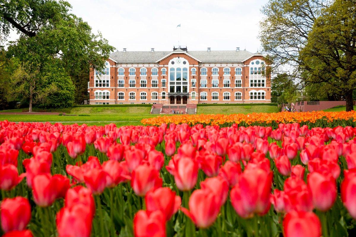 Hans Ole Ørka (@hansoleoerka) on Twitter photo Are you passionate about statistics and machine learning? Maybe you love forests and remote sensing? Want to be a PhD student together with the incredible <a href="/SmartForest_SFI/">SmartForest4.0</a> team? Two open PhD positions @UniNMBU bit.ly/38Ldtp9 and bit.ly/2W1z1LC Are you passionate about statistics and machine learning? Maybe you love forests and remote sensing? Want to be a PhD student together with the incredible <a href="/SmartForest_SFI/">SmartForest4.0</a> team? Two open PhD positions @UniNMBU bit.ly/38Ldtp9 and bit.ly/2W1z1LC
