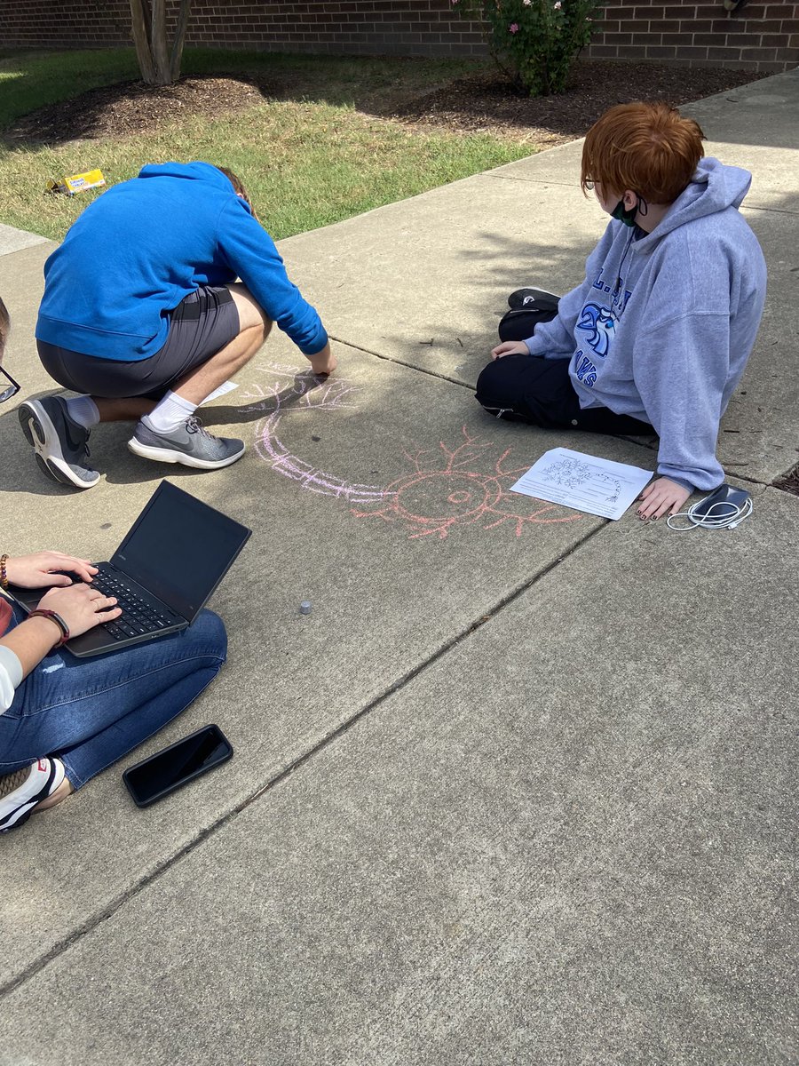 Coachduttonlcb's tweet photo. Drawing and labeling neurons on the sidewalk in AP psychology @lcbirdprincipal https://t.co/TPsfiRert5