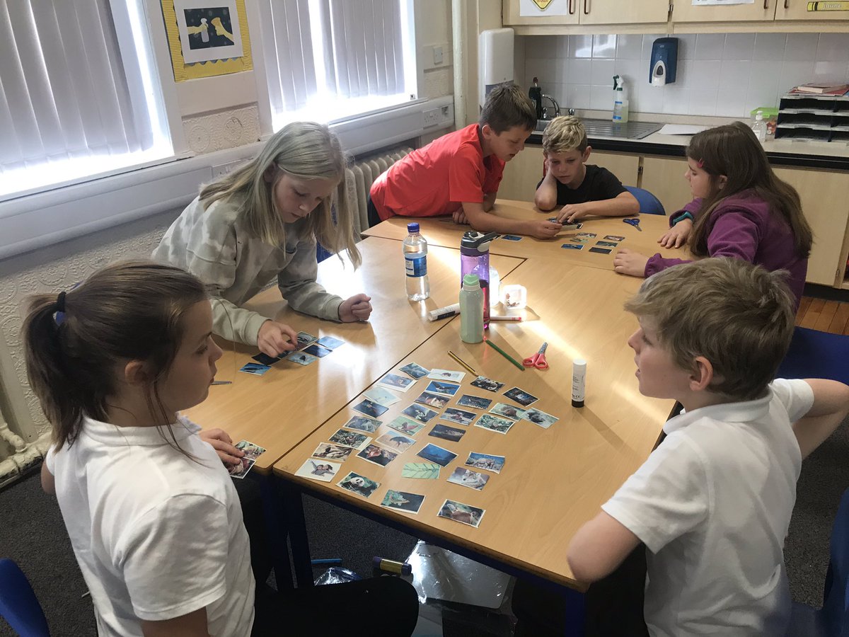 P6M are thoroughly enjoying Science week so far. We have been learning about how different living things are classified and about the differences between the different types of vertebrates and invertebrates 🦅🐛🐺🐌🐍🦀🐊