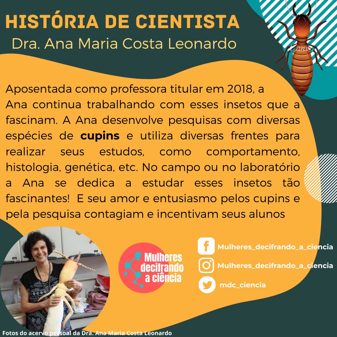 mdc_ciencia's tweet photo. Nesta semana trazemos mais um post da série "História de cientista" contando a história da Dra. Ana Maria Costa Leonardo. Ana se dedica a pesquisa de insetos fascinantes, os cupins! Clica e leia a história dessa incrível cientista! #cupins #mulherescientistas #Unesp #unesprc https://t.co/QibmSZ4FqG