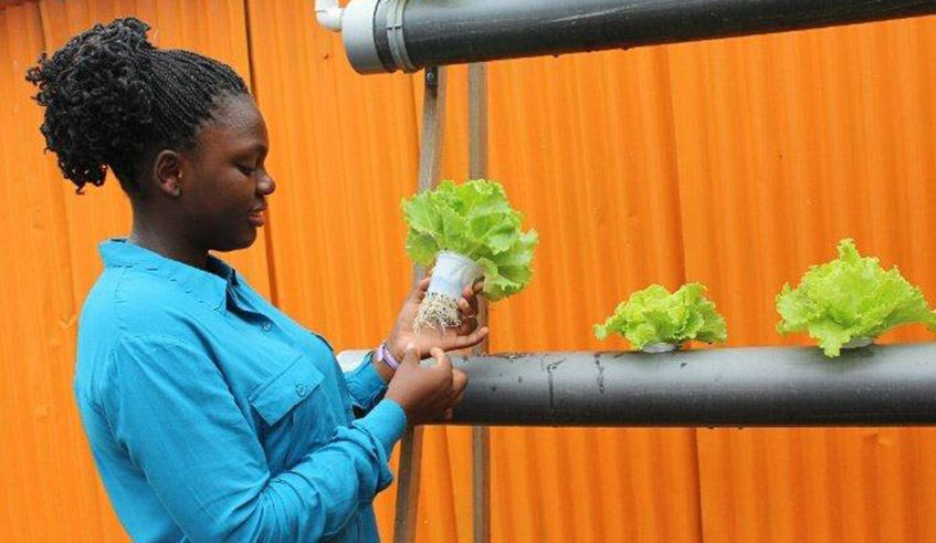 jcniyomugabo's tweet photo. Meet Marie Aline Iraguha, a 22-year-old young student from Rwanda currently second year African Leadership University, Founder of AliFarms Group Ltd, an agribusiness that focuses on growing fruits and vegetables with the mission of empowering youth through sustainable agriculture https://t.co/6hHXdQFTOJ