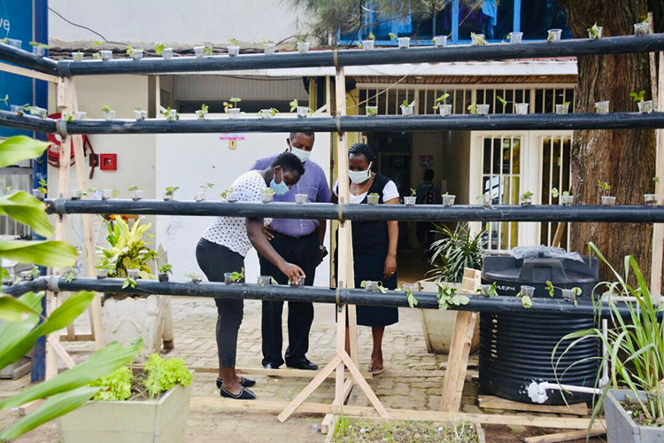 jcniyomugabo's tweet photo. Currently, she is in trials of investing in hydroponic farming technology with fruits and vegetables.

The 22year-old student is paying her way through university, providing youth jobs and showing ways to increase food production in Africa. https://t.co/5tDsSEK8AL