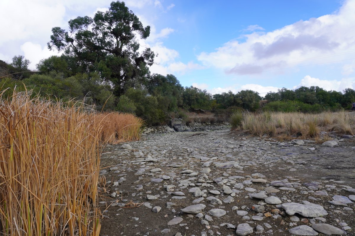 CiimarUp's tweet photo. The #edgeomics project finished another field trip with many experiences learned and revealing results about intermittent rivers and their biodiversity in the south of PT! More news coming soon!
#CIIMARresearch #CIIMARproject #climatechange #dryingriver #biodiversityisourlife https://t.co/RnM07QqMFY