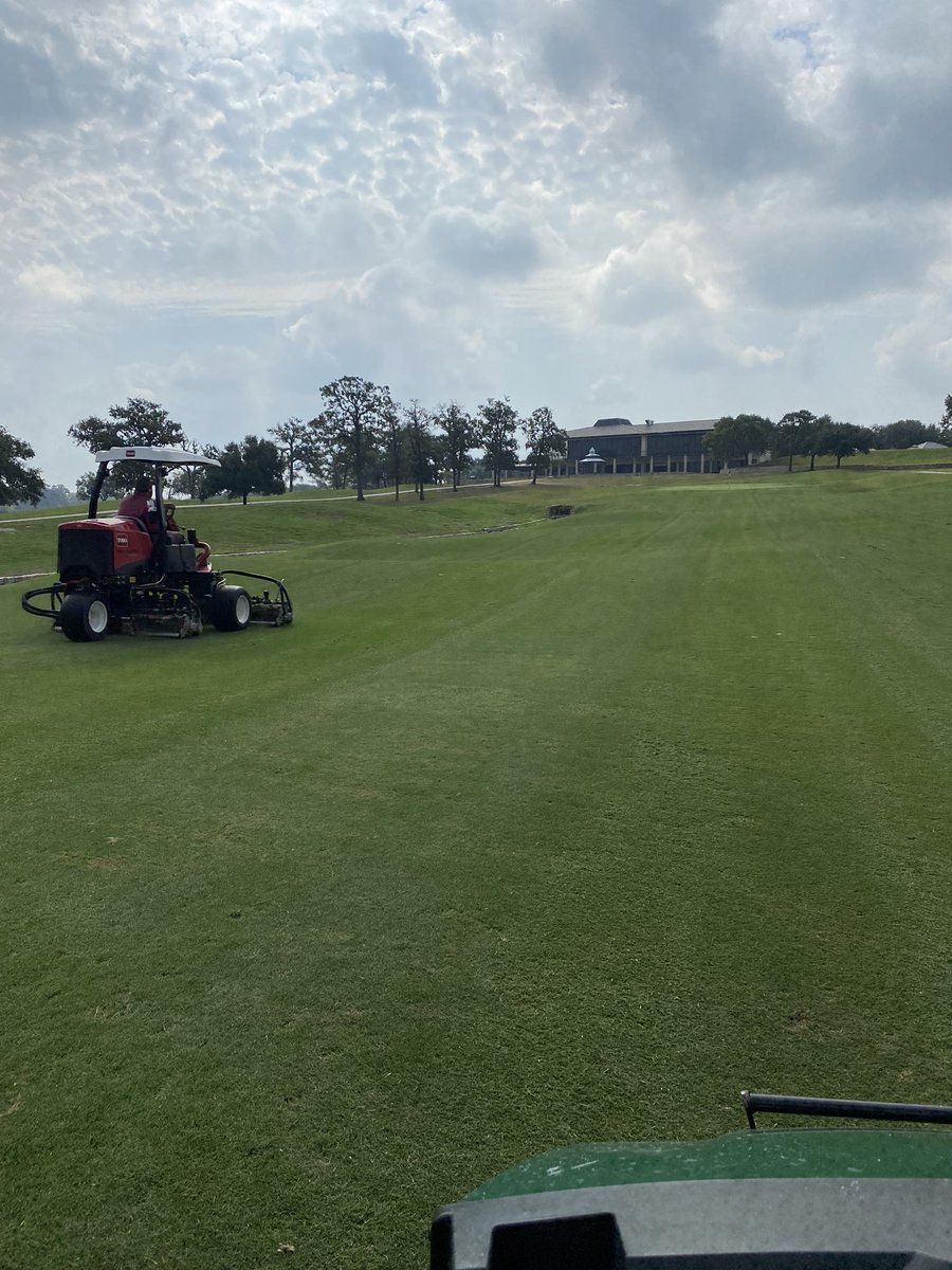 davis ⛳️ tweet media