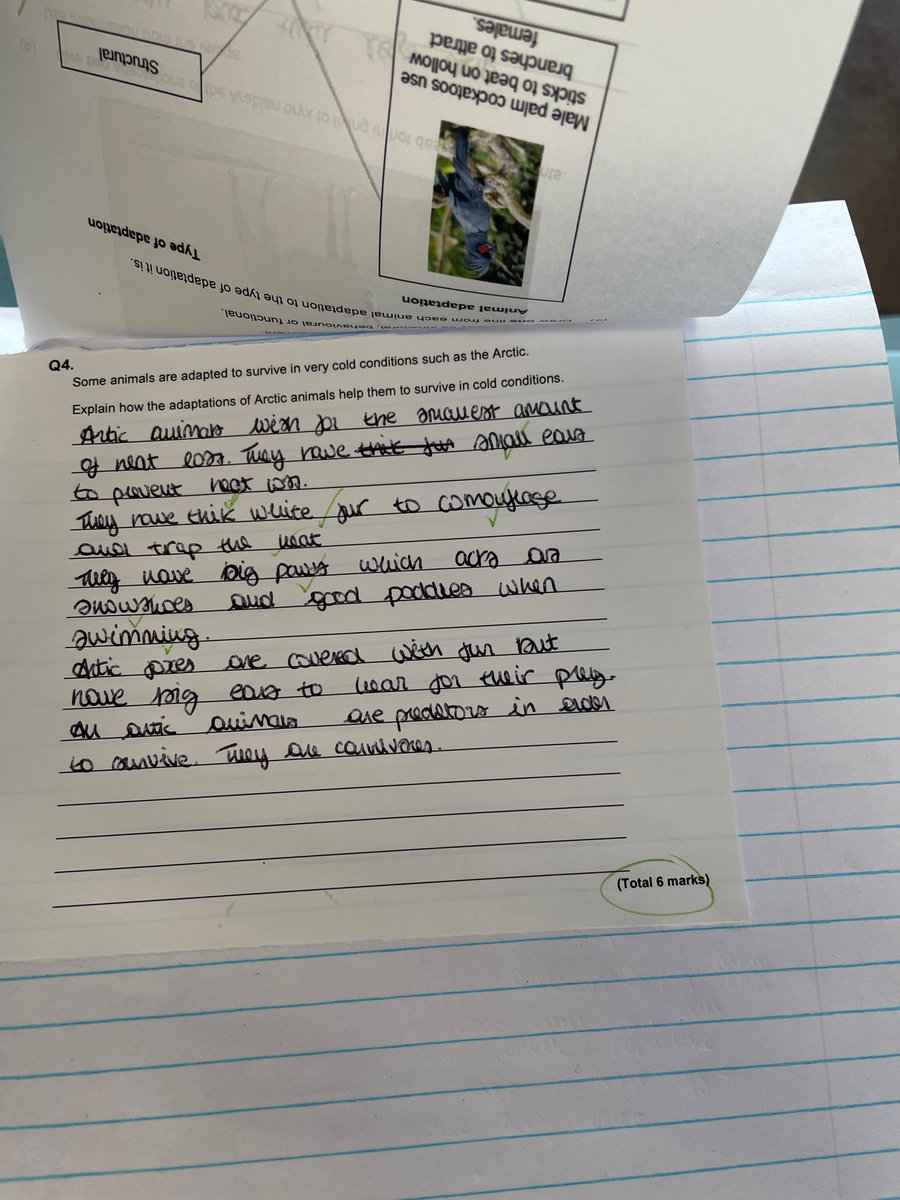 MissTitley_Science tweet media