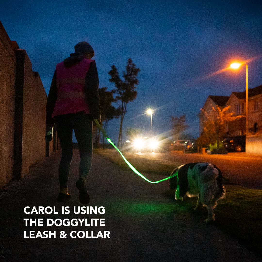 Meet Carol! A home care worker who loves to take her dog "Paws" for daily walks. 
"I walk Paws daily in the dark usually as I have a hectic timetable with work. Paws tries to wonder every now and again so having the light up collar and lead are great!