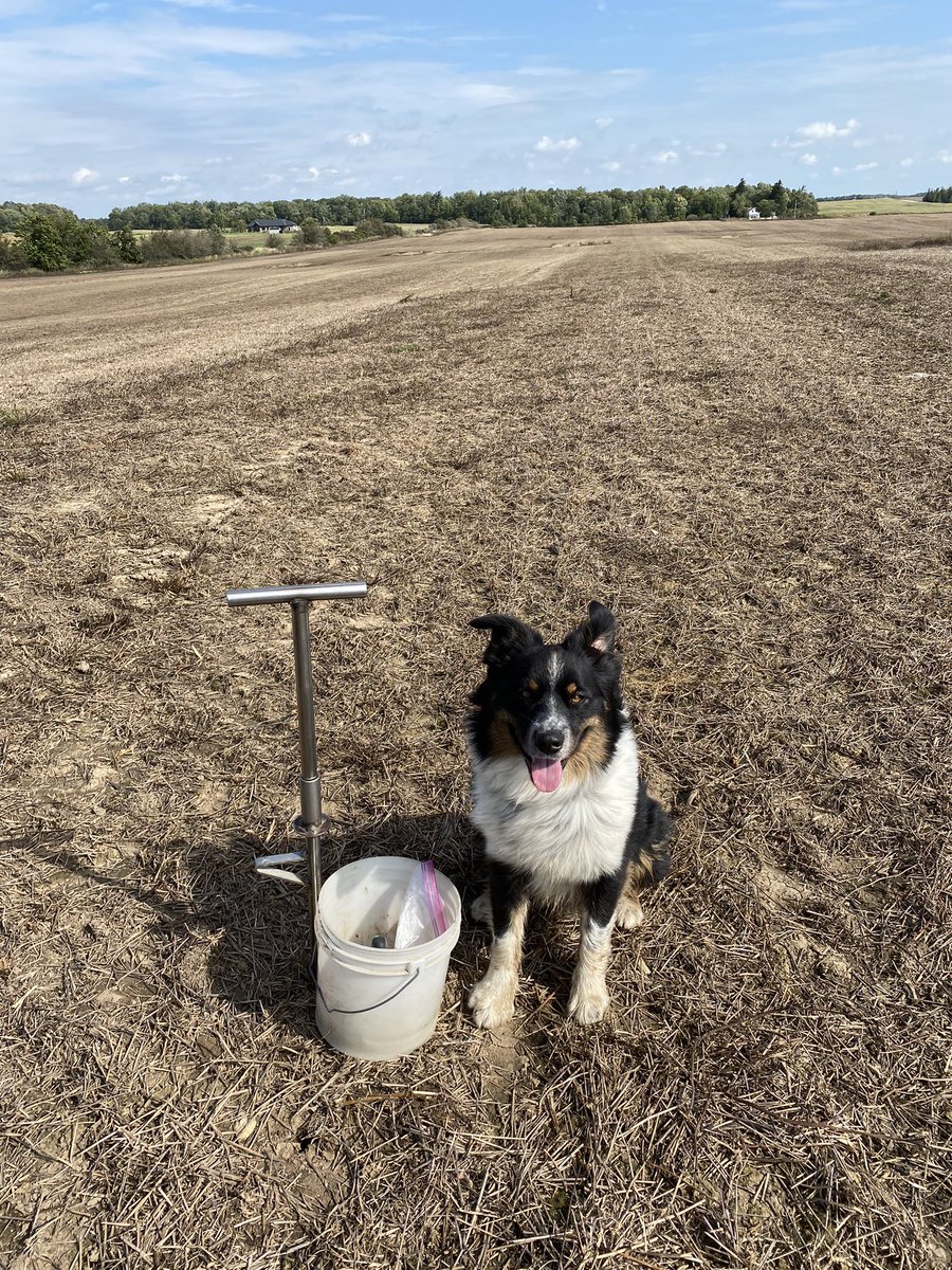 SusanGowanAgr's tweet photo. Even Ranger is happy we can sneak another soil sampling day in between rains. Maximize your fertilizer dollar! #bestsidekick https://t.co/h4Izk4xl9l