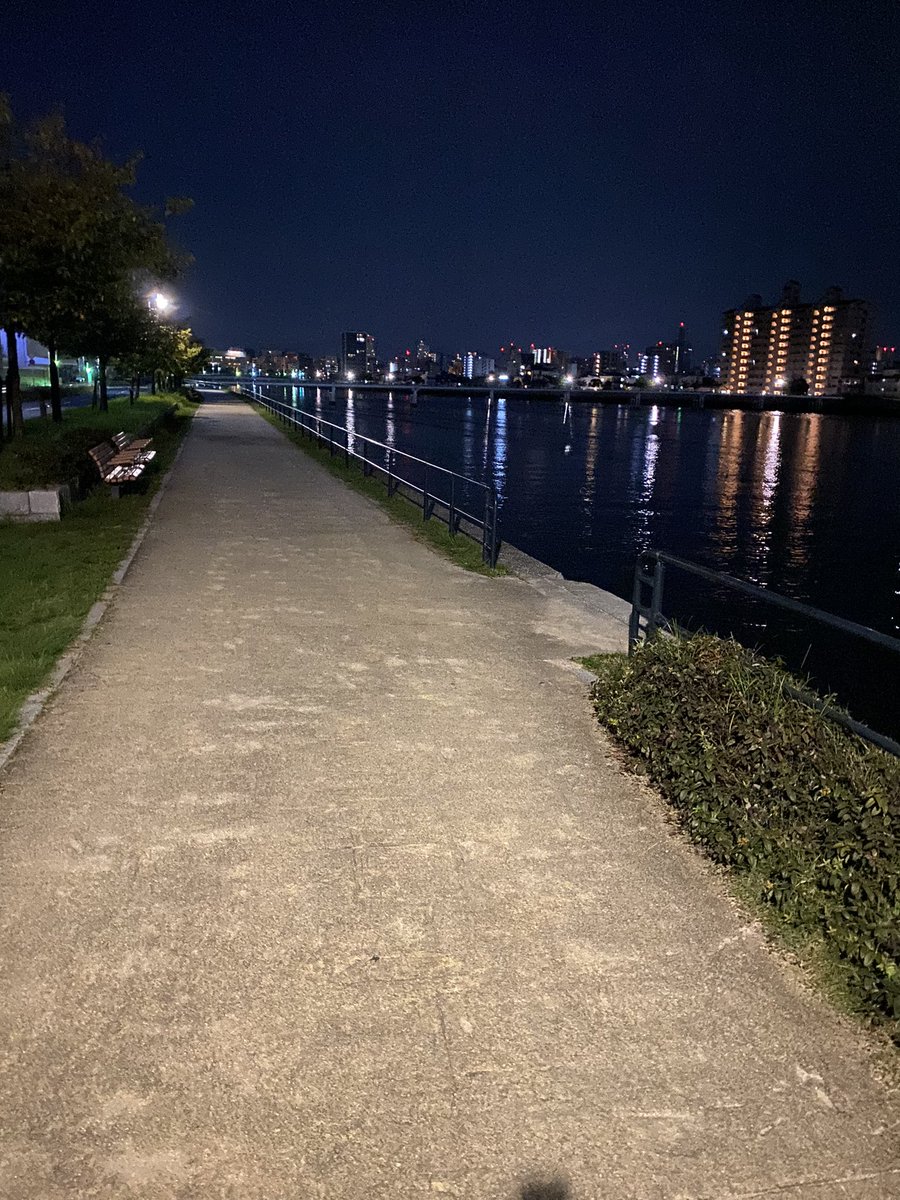 Zako_PACIA's tweet photo. 深夜のお散歩たのしい https://t.co/a30IQrbyo7