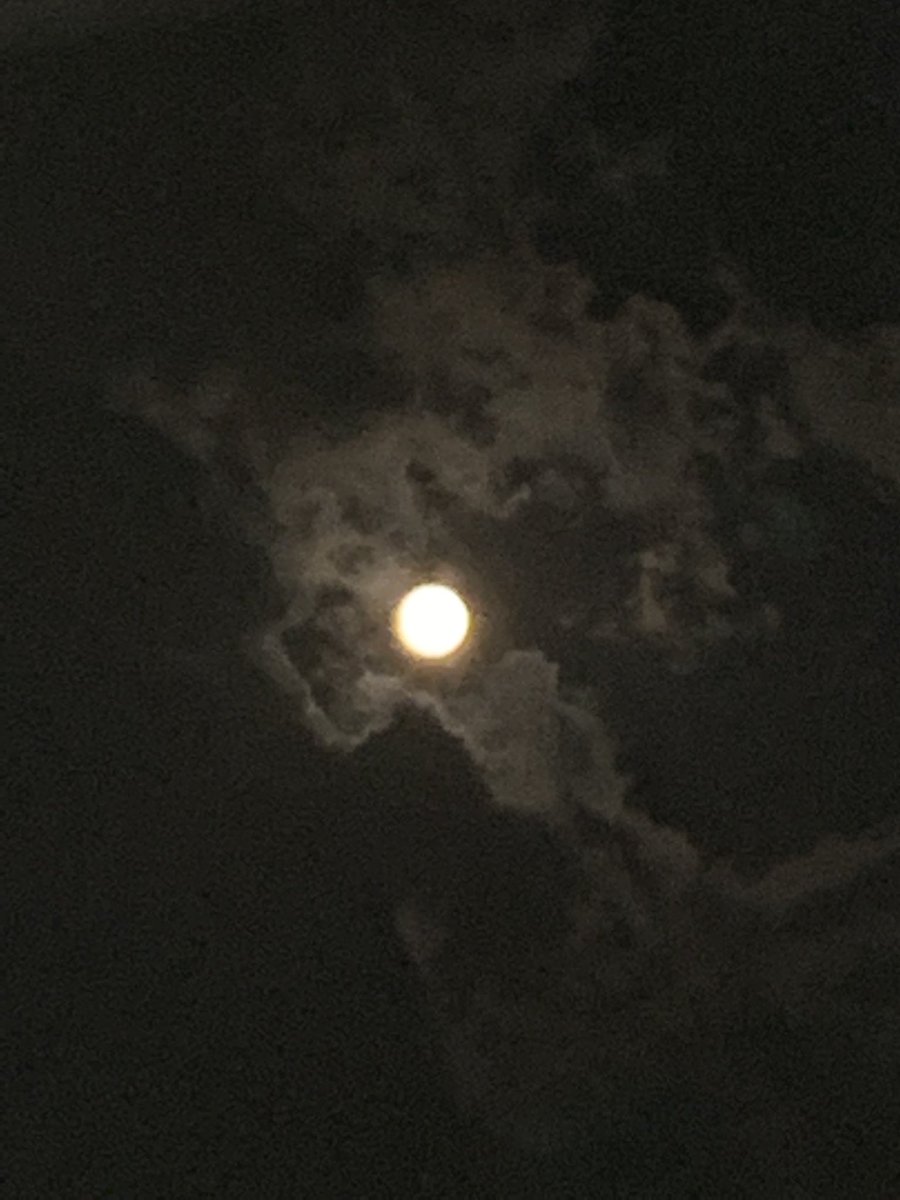 gravitysik tweet media