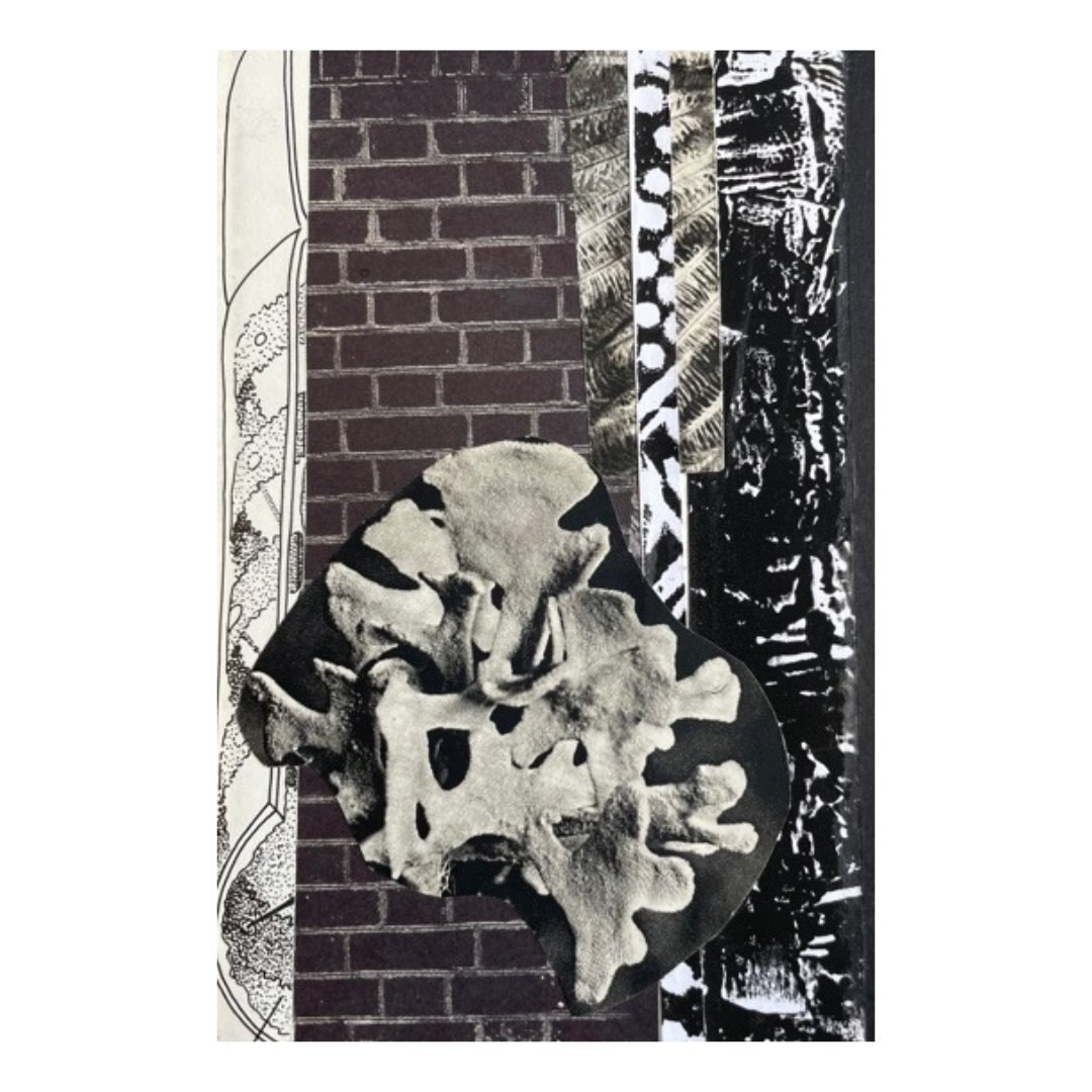 Bethlem_Gallery's tweet image. 📩 Postcard Project Submission 📩

This week we&apos;re sharing submissions from artist #BethHopkins - a series of collages about lockdown and our relationship to houses now.

Image 1: Falling Down
Image 2: Bricked Up
Image 3: Aftermath

#letsconnect #lockdownprojects #bethlemgallery