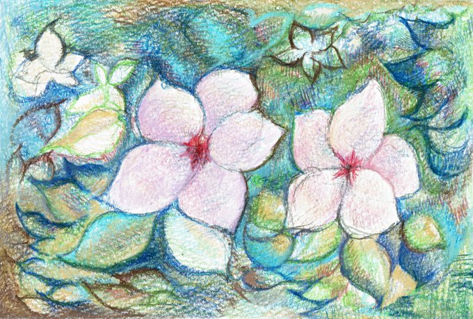 日日草のtwitterイラスト検索結果