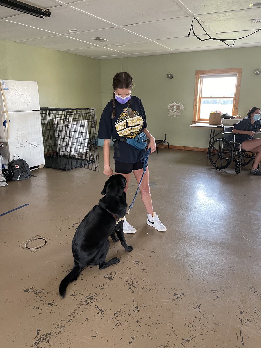 Ever wondered what students <a href="/WestVirginiaU/">WVU Mountaineers · Let's Go!</a> do during lab? Students work with Hearts of Gold #SDiTs on various commands each week!
