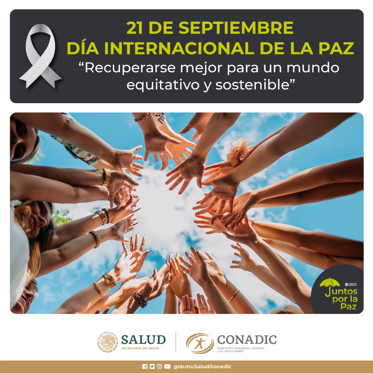 America2Capa's tweet image. Dia internacional de la paz