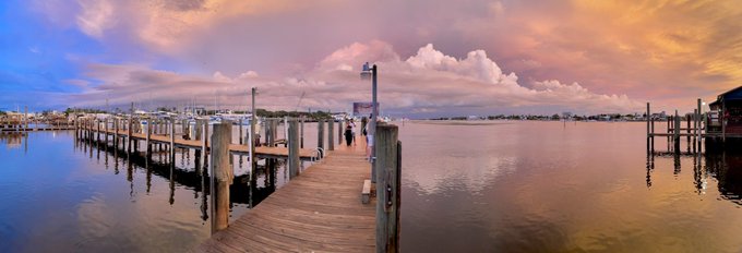1 pic. Oh #florida #thelandofthefree .. I want to begin sharing my nature photography again - what do