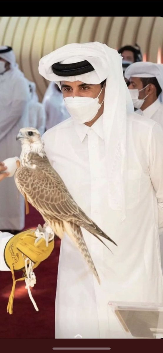 انت الفخر من دونك ارقاب #تميم_المجد