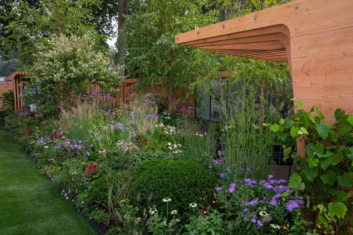 Robert Myers Assocs tweet media