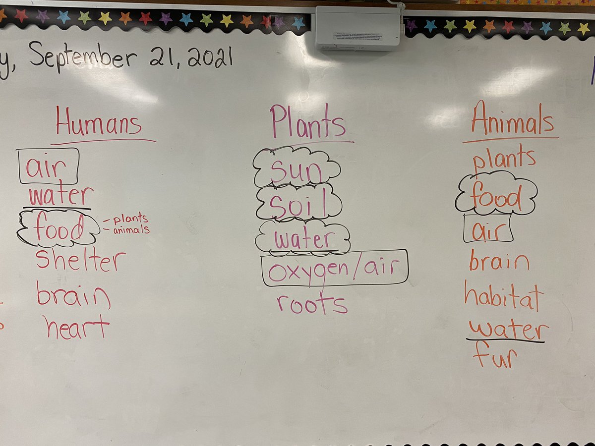 MissDeSousa_'s tweet photo. The grade 3/4s were working on the basic needs humans, animals, and plants have. They then compared all three groups by looking for similarities between them. @stannephoenix https://t.co/CbVKP22QEt