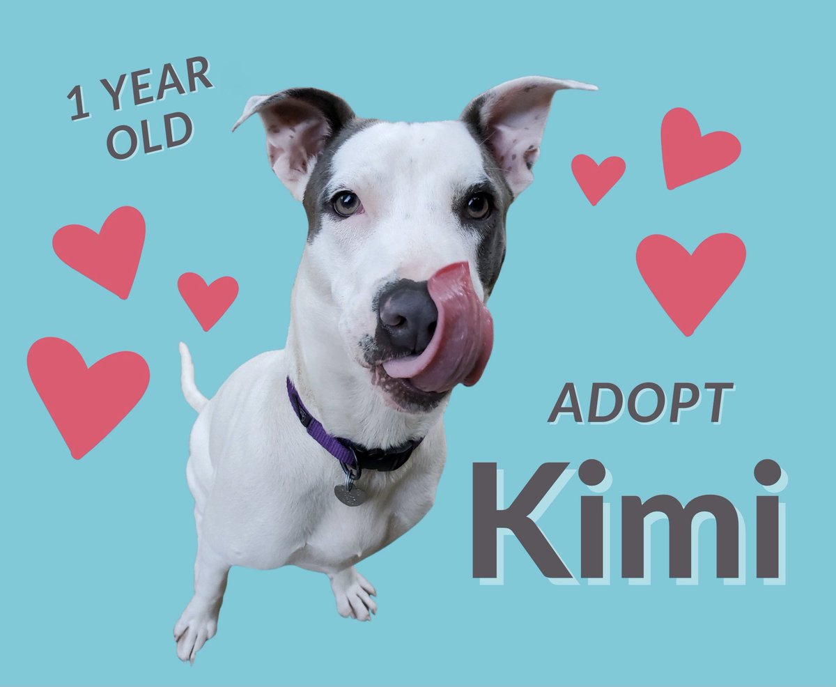 Heartland Humane tweet media