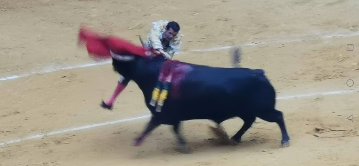 InakiEguizabal's tweet photo. Gran estocada en el segundo toro de la tarde.
#SanMateo2021
@zabaladelaserna
@ElMundoToros https://t.co/UBUolB92pA