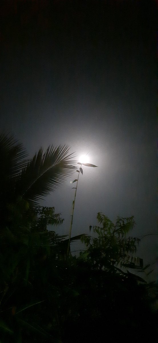 Jeezkookk's tweet photo. @stardustvmn #moonforjoon
Happy chusoek 🌕 https://t.co/PhJleXjXzn