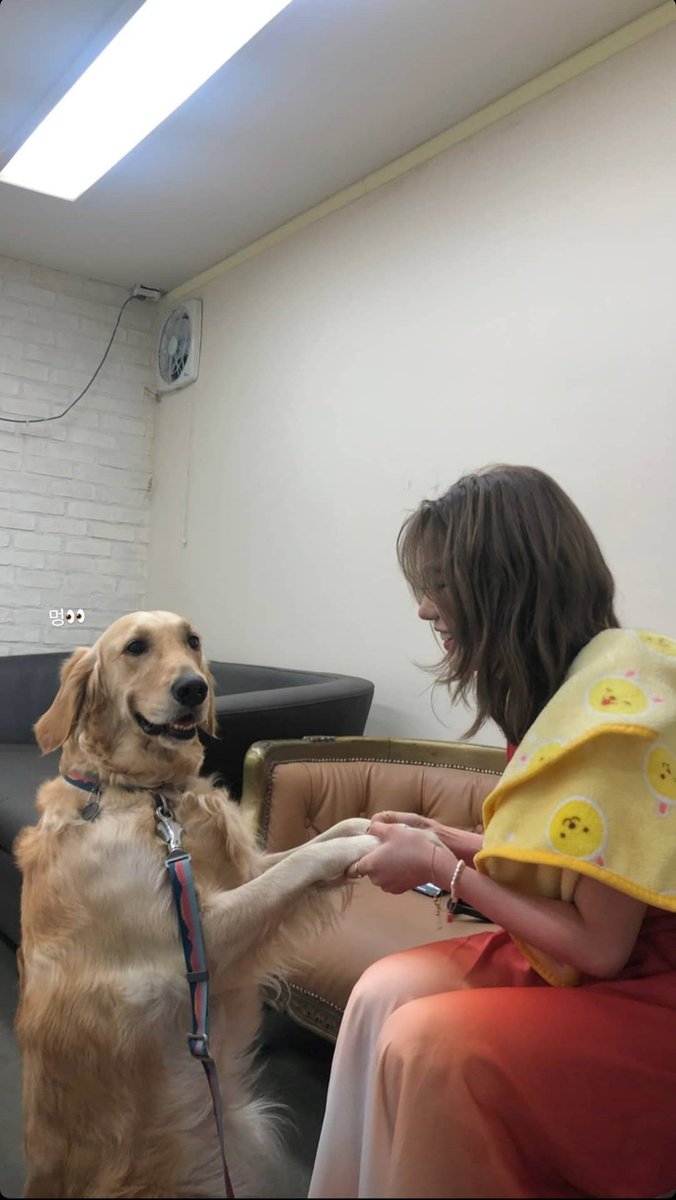 skizfromis's tweet image. #김승민 + #노지선