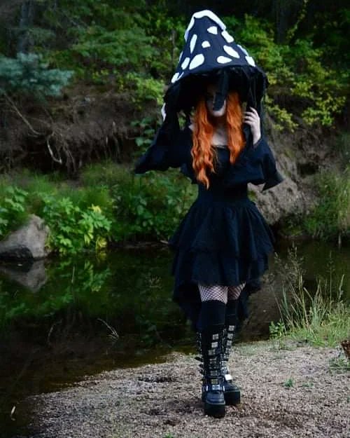 CourtofMonsters's tweet photo. Come become a monster with this lïñk
Lïñk to apply 🧡  - https://t.co/GYx9jcMuTu
behind the scene photos by - @boundbyv 
Mushrooms 
Photo 1 - @the_valkyrie_vixen
Photo 2 - @viksendeer 
Photo 3 - @reeyue_
 #mushroomcosplays #mushroomgirls #mushroomOCs #fae #faecreatures https://t.co/j296dMRpzx