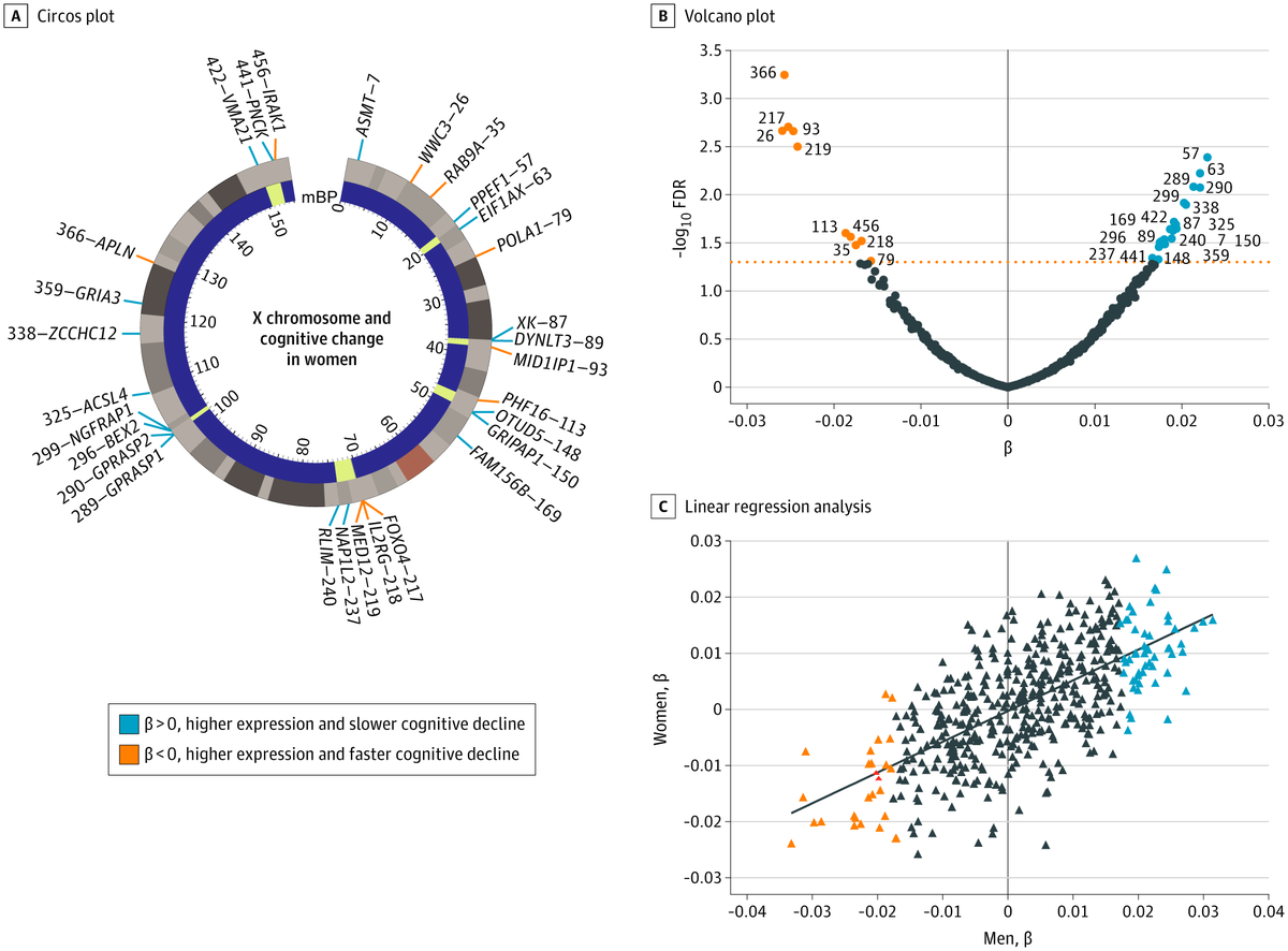 UCSFmac's tweet photo. Sex-Specific Association of the X Chromosome with Cognitive Change &amp; Tau Pathology in Aging &amp; Alzheimer Disease. X chromosome transcriptome associated with cognitive trajectories &amp; tau burden in a sex-specific manner. @JAMANeuro @DenaDubal @YokoyamaLabUCSF https://t.co/oP20Bfmj28 https://t.co/SDnFypVHV8