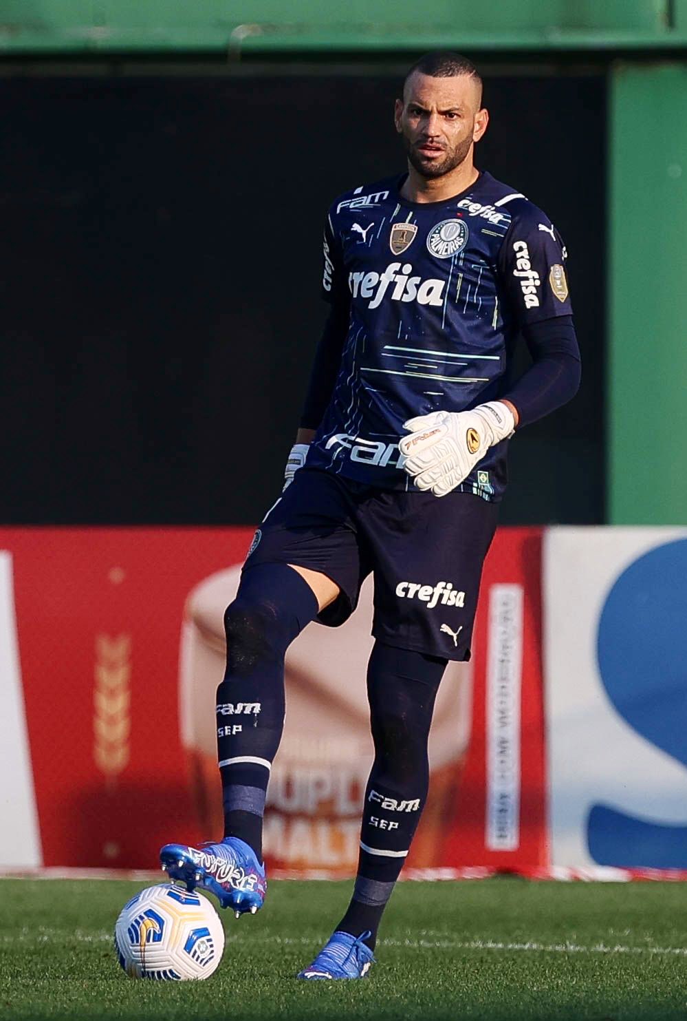 Sofascore Brazil on X: 🔎 Weverton 🆚 Éverson na @LibertadoresBR 2021: Jogos: 9 - 10 Gols sofridos: 4 - 3 Defesas: 26 - 33 Defesas difíceis: 7 - 11 Bolas defendidas: 87%