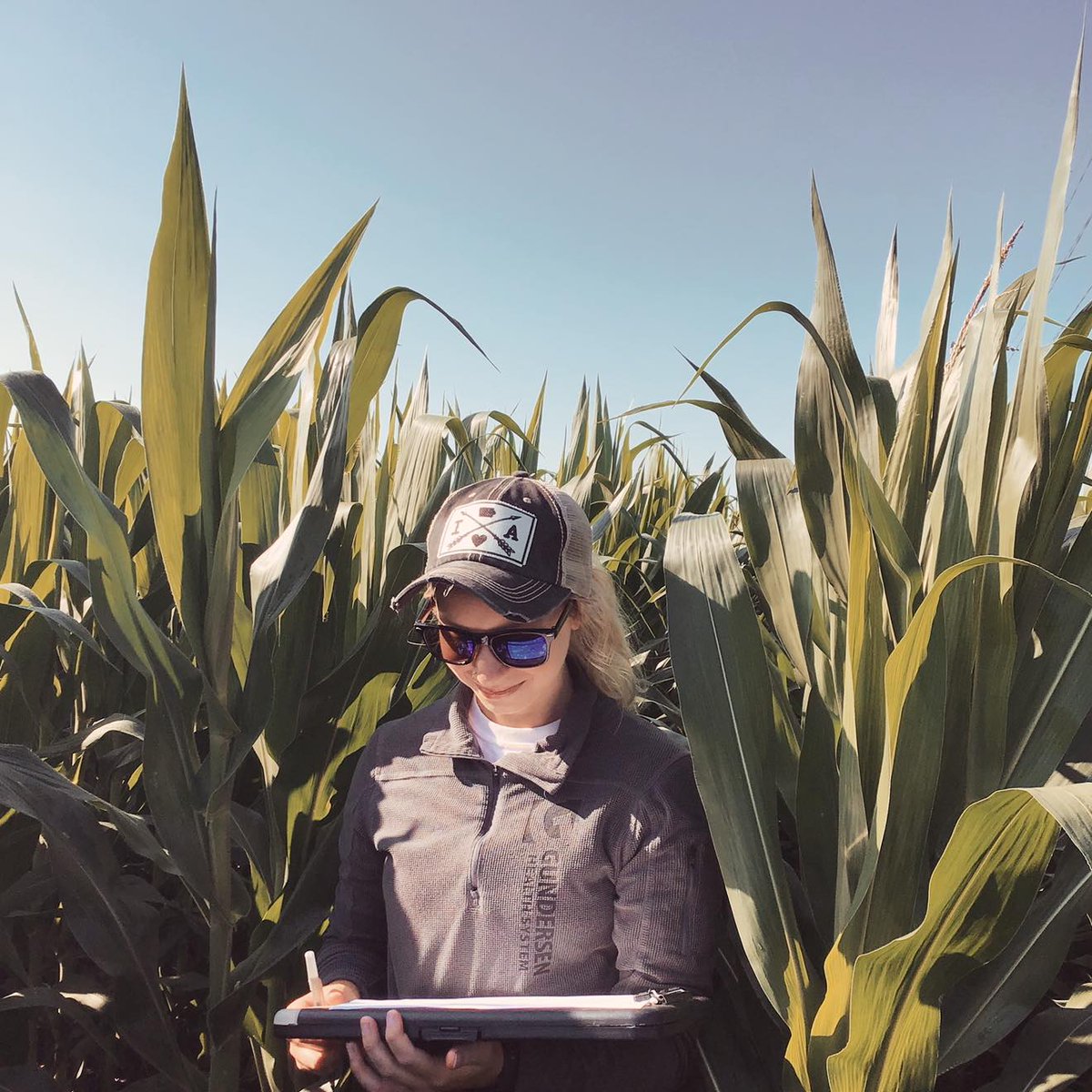 isuagronomy's tweet image. Check out today's internship spotlight featuring Kira Rieck. She interned with @IowaStateBCRF this summer as an Undergraduate Researcher! 
Click Here: buff.ly/3nXQP5M