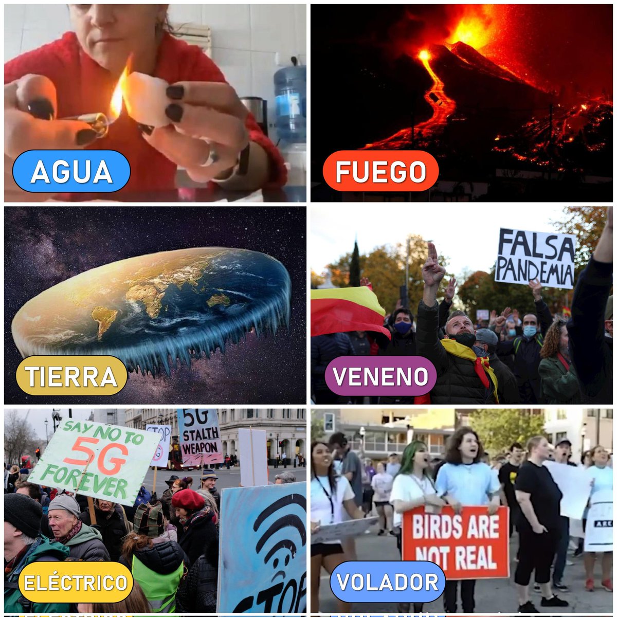 CarryEnfurecido's tweet image. Elige tu negacionista favorito.