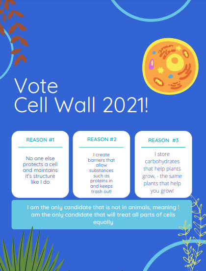 CellWall2021_'s tweet photo. @murphyapbio Vote for the Cell Wall: The only fair choice! #cellwall2021 https://t.co/L6scJnsoEV