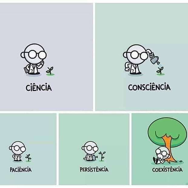 ecocosas's tweet photo. Simple verdad 🌳 #ecocosas #arbol #sustentabilidad #sostenibilidad https://t.co/ddgTmQZcC2 https://t.co/2MJ1oY7Zg3