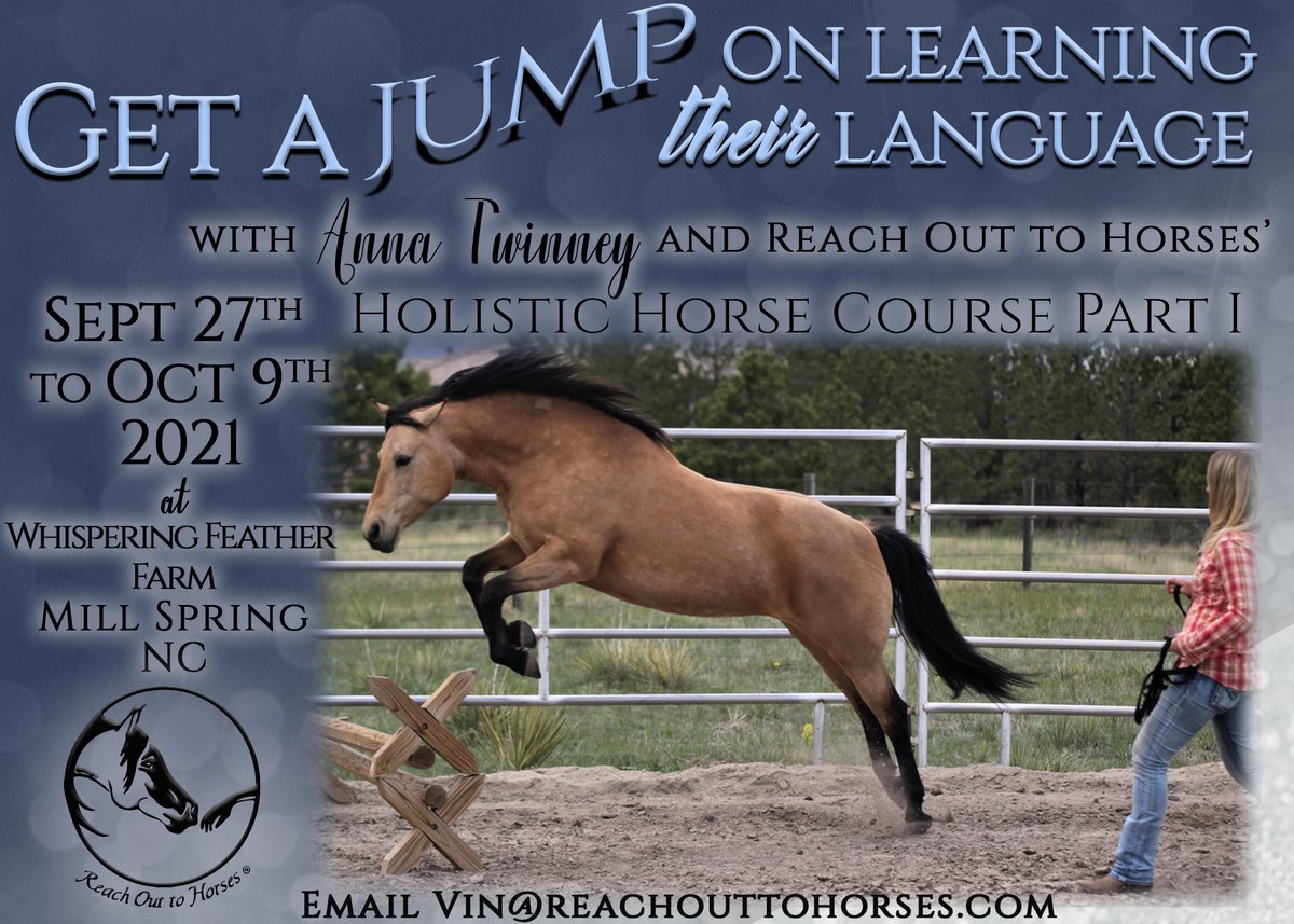 AnnaTwinney's tweet photo. Secure YOUR spot on this year's HHC as we have had two more spots become available.  The last time we had a spot open, we filled it in less than an hour of sharing the news.  If you want IN, NOW'S THE TIME TO ACT!!!  Please email Lacey@reachouttohorses.com for details. https://t.co/LW7KGE8kJ7