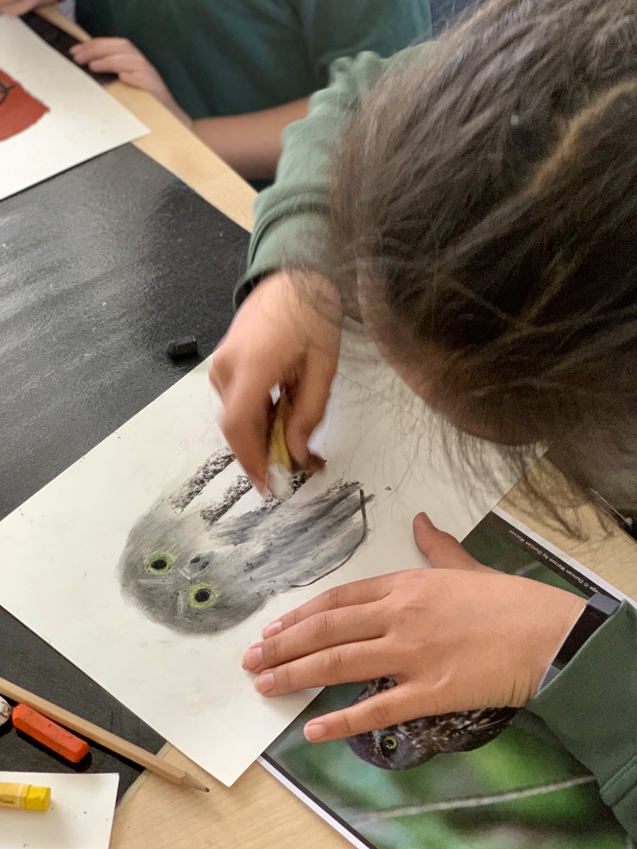 BromleyKoru1's tweet photo. Enjoying exploring what a journey looks like this morning at Diving Deeper. Some great pastel art of native NZ birds being created #bromleyschoolnz https://t.co/0rzWgvWolO