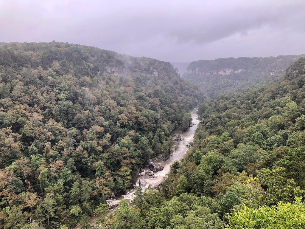 ryanstricklin's tweet photo. Wolf Creek Overlook
@spann #littlerivercanyon https://t.co/JL2Py3gQ9q