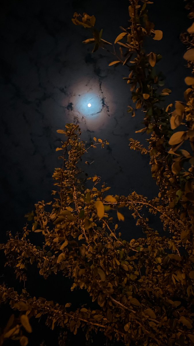 مذهله V 88vb Twitter