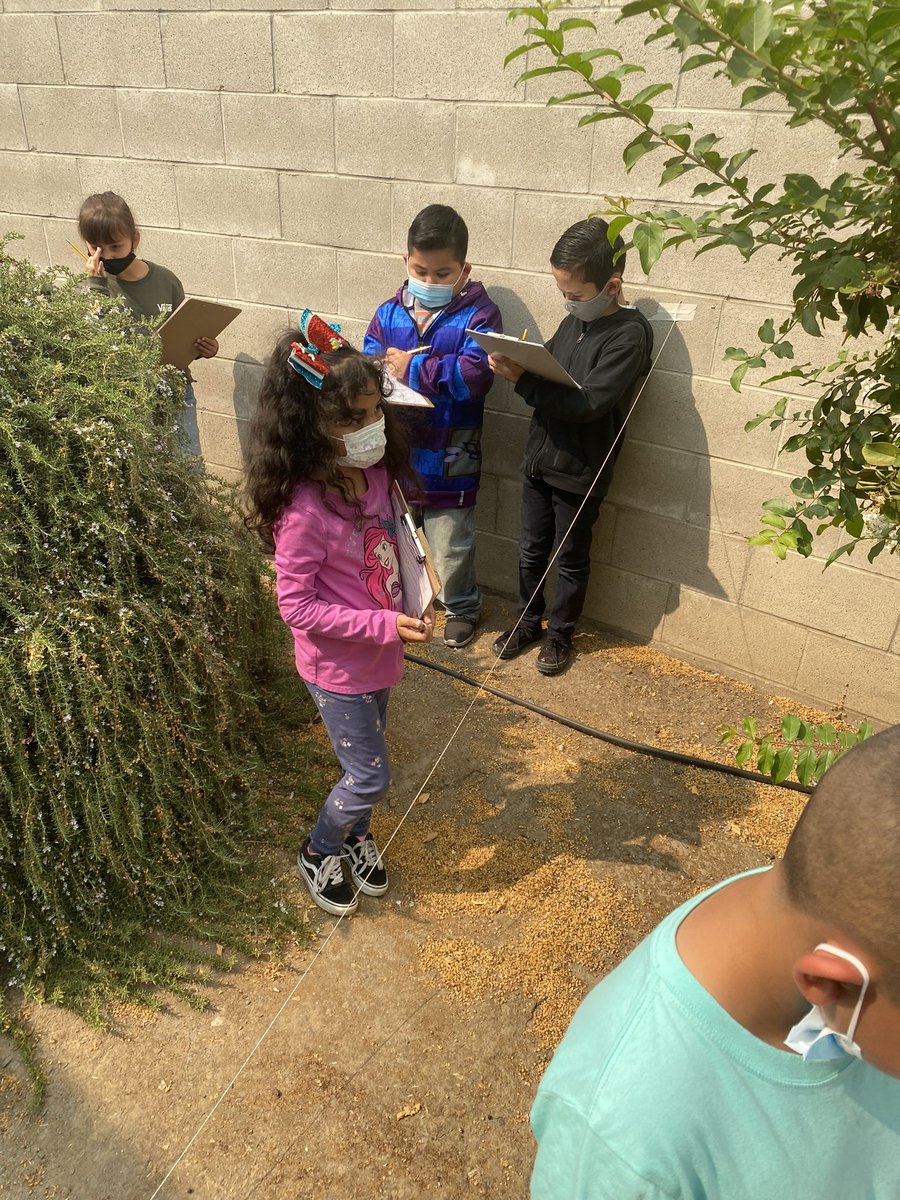 Elizabeth Padilla tweet media