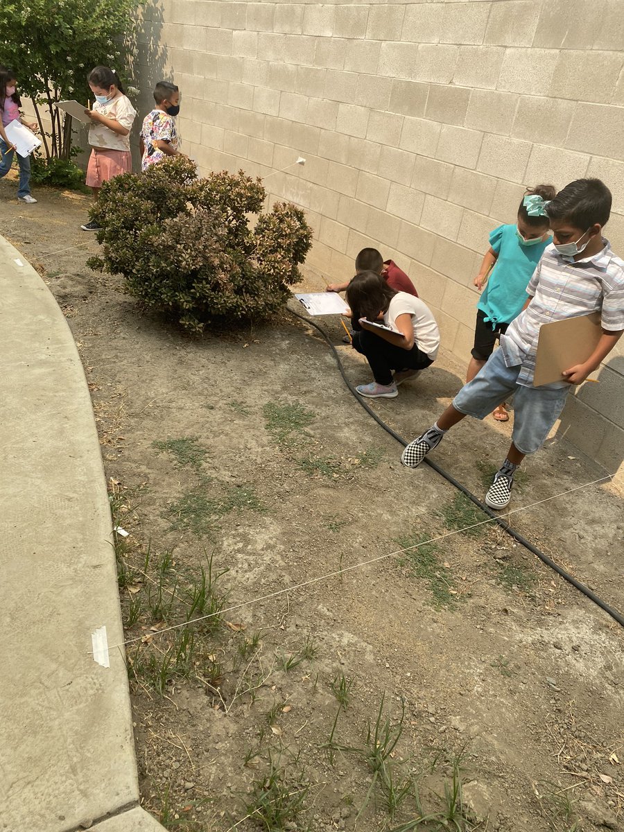 Elizabeth Padilla tweet media