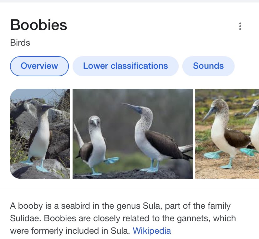 Spac𝑒 tweet media