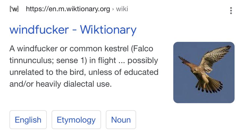 Spac𝑒 tweet media